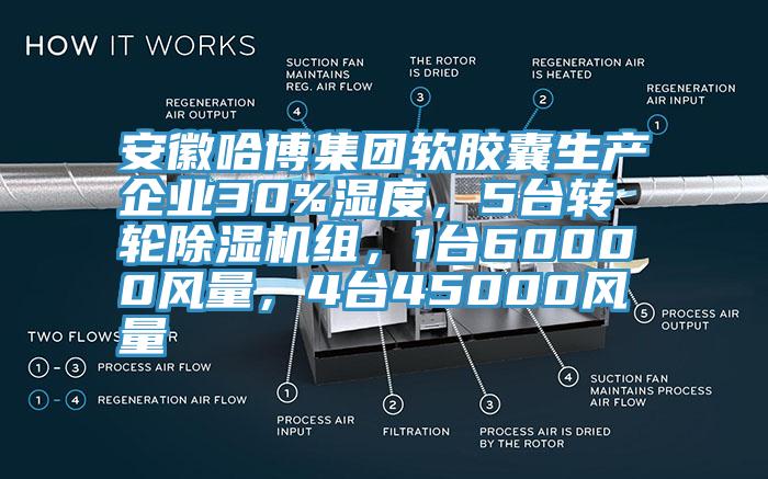 安徽哈博集團(tuán)軟膠囊生產(chǎn)企業(yè)30%濕度，5臺轉(zhuǎn)輪除濕機(jī)組，1臺60000風(fēng)量，4臺45000風(fēng)量