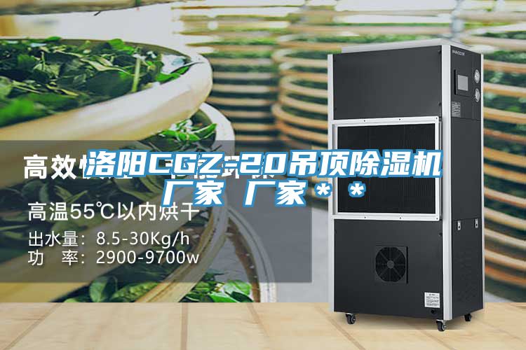 洛陽CGZ-20吊頂除濕機廠家 廠家＊＊