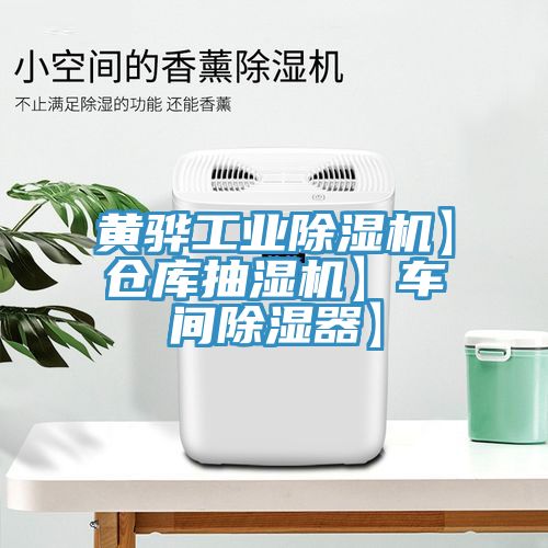 黃驊工業(yè)除濕機】倉庫抽濕機】車間除濕器】