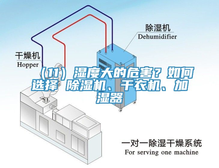 （11）濕度大的危害？如何選擇 除濕機(jī)、干衣機(jī)、加濕器