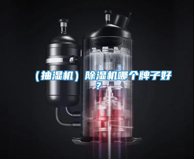 （抽濕機）除濕機哪個牌子好？