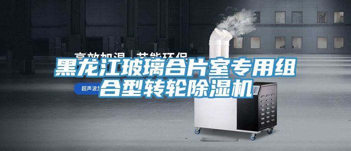 黑龍江玻璃合片室專用組合型轉(zhuǎn)輪除濕機